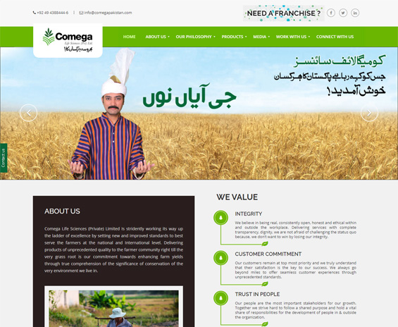 SEO Company